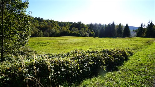 działka na sprzedaż 8200m2 działka Sękowa