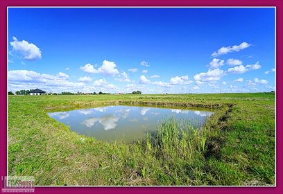 działka na sprzedaż 1999m2 działka Wielochowo