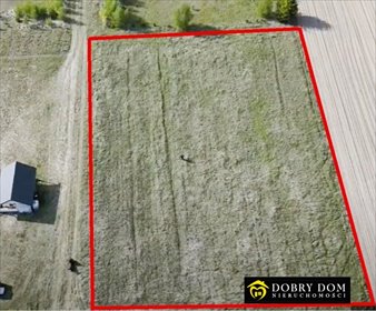 działka na sprzedaż 3000m2 działka Kościuki