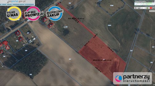 Działka siedliskowa na sprzedaż Górki 9 000m2 Foto 1