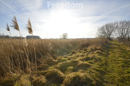 działka na sprzedaż 4445m2 działka Kępno