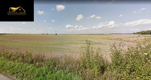 działka na sprzedaż 2963m2 działka Wierzbna