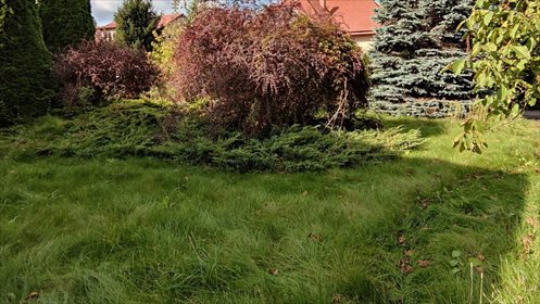 Działka komercyjna na sprzedaż Warszawa, Ursynów 2 032m2 Foto 3