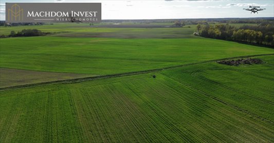 Sprzedam działkę 3000 m² z warunkami zabudowy w Borach Tucholskich działka Bramka