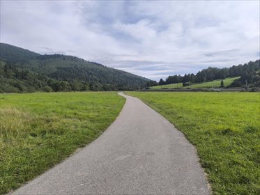 działka na sprzedaż 11700m2 działka Milówka