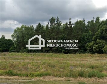 Zapraszam do zakupu działek leśnych i budowlanej w Borkowie działka Borkowo