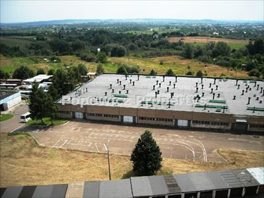 Magazyn 6000 m2 z adaptacją, tani czynsz od 10 zł/m2. magazyn Przemyśl, Monte Cassino