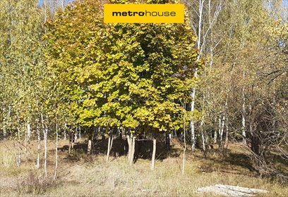 działka na sprzedaż 3891m2 działka Żeliszew Duży