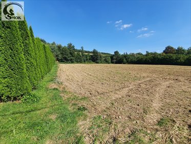 Działka budowlano-rolna 3000 m2, uzbrojona, przy drodze działka Sułkowice