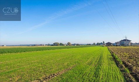 Działka 3 731 m² pod domy wolnostojące, potencjał! działka Dopiewo, ul. Młyńska