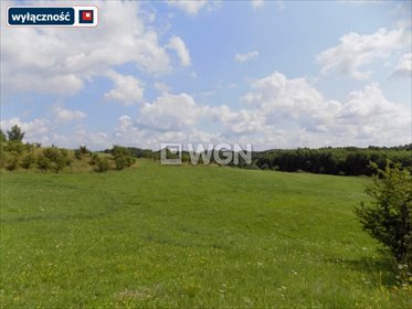 działka na sprzedaż 106027m2 działka Płociczno