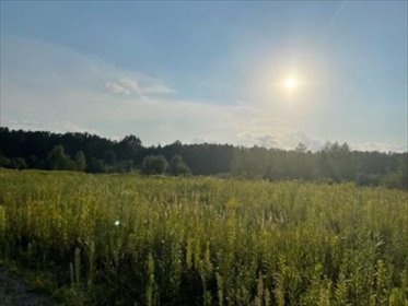 działka na sprzedaż 1300m2 działka Słupno