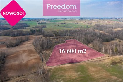 Działka inna na sprzedaż Jora Wielka 16 600m2 Foto 1
