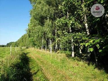 działka na sprzedaż 4059m2 działka Orzechowo, Orzechowo
