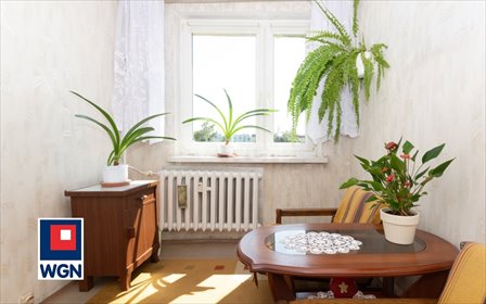 mieszkanie na sprzedaż 47m2 mieszkanie Sosnowiec, Pogoń, Hallera
