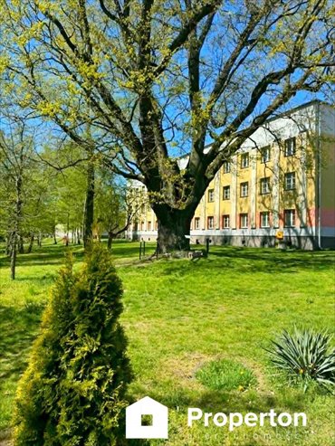 Przestronne 3-pokojowe mieszkanie z dużym potencjałem mieszkanie Dęblin, Podchorążych