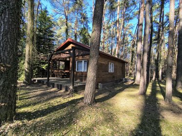 dom na sprzedaż 1569m2 dom Sokolniki-Las, Łódzka