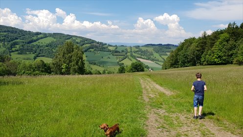 Działka na sprzedaż 734600m2 działka Lądek-Zdrój