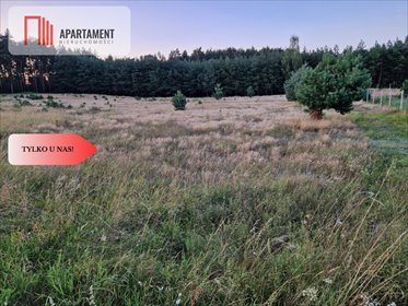 Do sprzedania działka 3010 m² z lasem i warunkami zabudowy działka Drewno