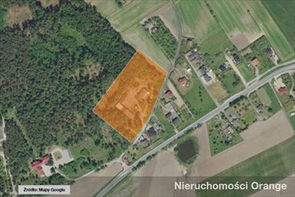 Lokal użytkowy na sprzedaż Szubin-Wieś 1 196m2 Foto 1