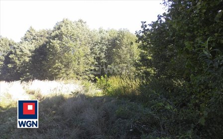 Działka 15 740 m² pod zabudowę i rolnictwo w Szarlejce działka Szarlejka, Łukasiewicza, Łukasiewicza