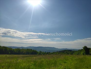 Działka rolna na sprzedaż Klecza 42 000m2 Foto 1