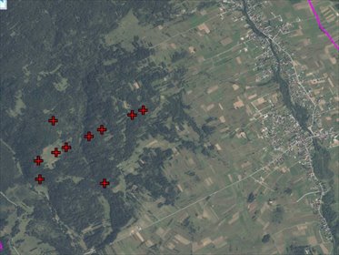 Działki rolno-leśne z panoramą gór w Lipnicy Wielkiej działka Nowotarski