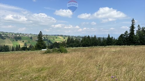 działka na sprzedaż 8416m2 działka Biały Dunajec