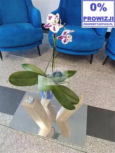 lokal użytkowy na wynajem 536m2 lokal użytkowy Warszawa, Targówek, Toruńska