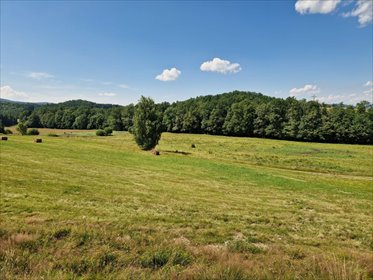 działka na sprzedaż 10795m2 działka Marciszów, Polna