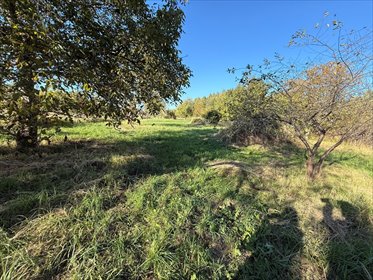 działka na sprzedaż 4700m2 działka Zduńska Wola