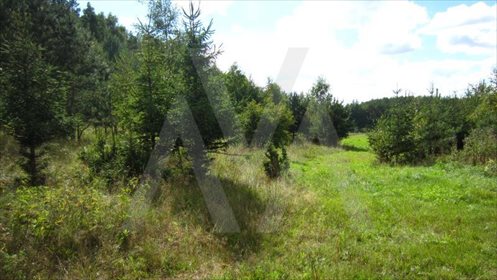 Działka siedliskowa na sprzedaż Pawłowo, Znana 44 408m2 Foto 3