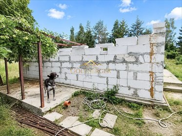 Działka rekreacyjna z domkiem, media, las, Tarnowo. działka Sierosław