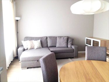 mieszkanie na wynajem 64m2 mieszkanie Poznań, centrum, wojskowa