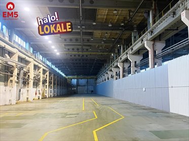 lokal użytkowy na wynajem 1900m2 lokal użytkowy Białystok, Starosielce
