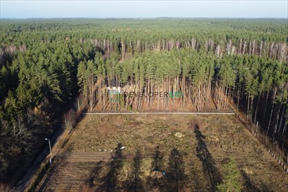 Polecam działkę z lasem, szybki dojazd do Białegostoku działka Sobolewo