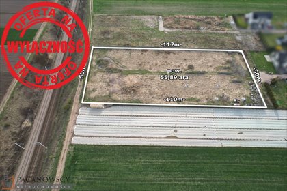 działka na sprzedaż 5903m2 działka Raciborowice