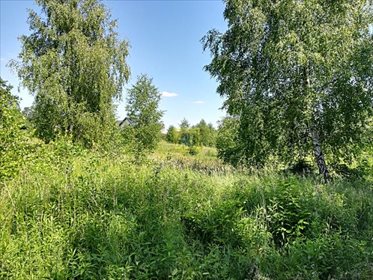 działka na sprzedaż 1500m2 działka Dobrzenica