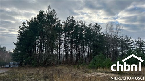 działka na sprzedaż 4943m2 działka Zagórki