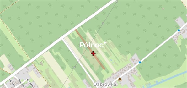 Działka 8800m² przy lesie, blisko Radomska, cena do negocjacji działka Dąbrówka