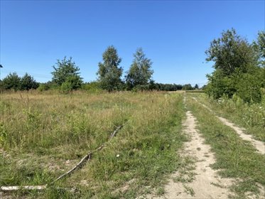 Zapraszam do obejrzenia działki 1004 m² w Wola Kiedrzyńska działka Mykanów, WOLA KIEDRZYŃSKA