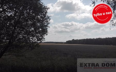 Działka inna na sprzedaż Godowo 1 600m2 Foto 2