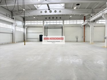 Zapraszam do wynajmu hali 1050 m² z suwnicą w Olkuszu magazyn Olkusz