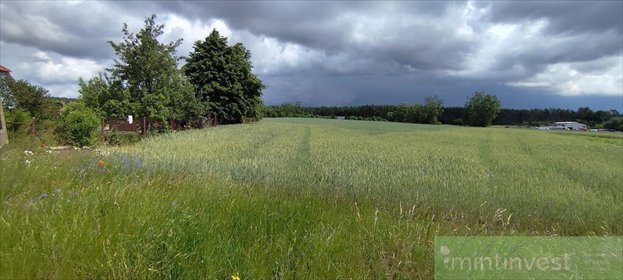 Działka 3 169 m² w Żarnowie - polecam działka Żarnowo