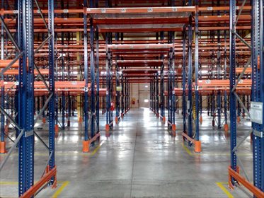 Lokal użytkowy na wynajem Wola Mrokowska, ul. Ogrodowa 3 200m2 Foto 4
