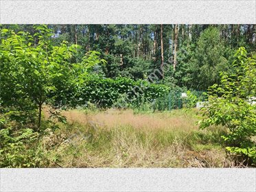 działka na sprzedaż 1900m2 działka Makówka