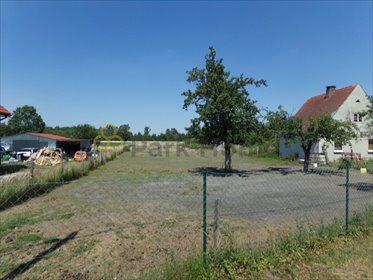 działka na sprzedaż 3000m2 działka Dębno