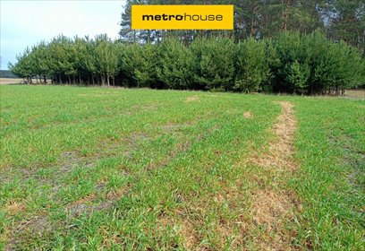Działka rolna 24 000 m² z lasami i łąkami - polecam działka Uchan Dolny