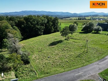 działka na sprzedaż 3700m2 działka Roztropice