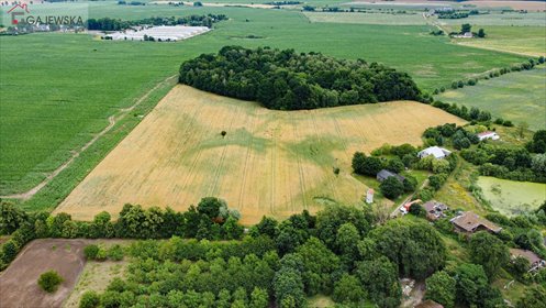 Działka rolna 5,6 ha z lasem i pastwiskami, potencjał! działka Róża Wielka
